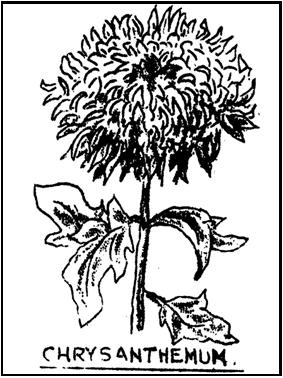 Illustration from page 114